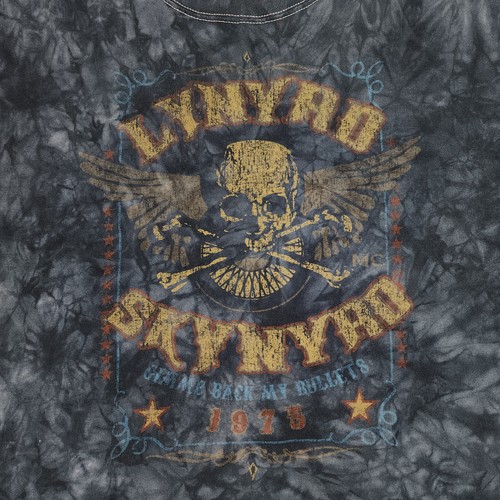 Anvil Lynyrd Skynyrd Mens Large Gimme Back My Bullets Tie Dye Distressed T-shirt - Picture 11 of 11