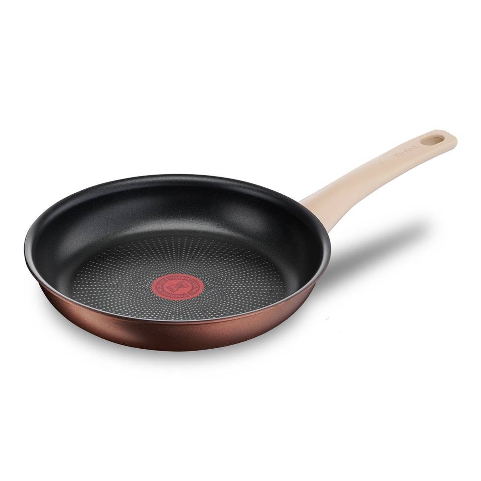 Poêle induction Tefal Eco-Respect 22cm antiadhésive G2540302