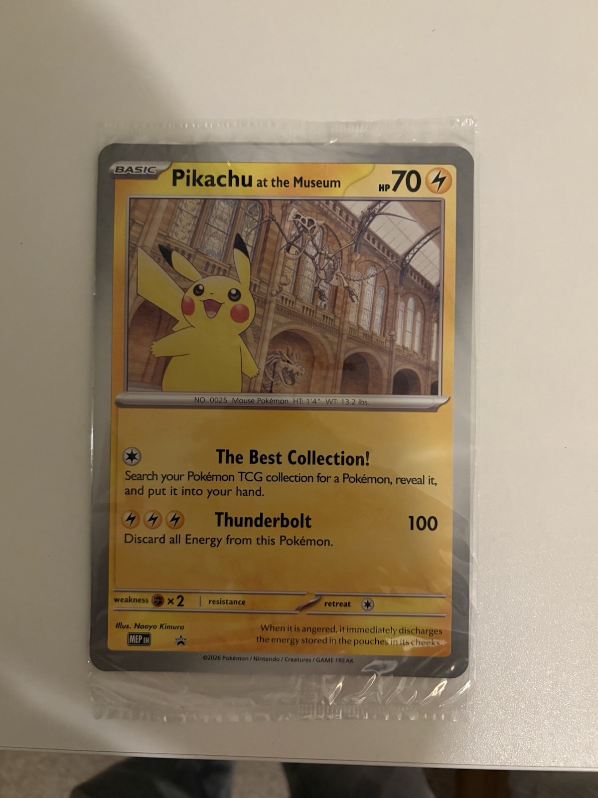 Pokémon TCG Pikachu At The Museum Promo Card - New & Sealed 