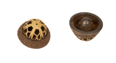 SG Set 9 runde Knöpfe mit Kunststoff Nähstange mm.22 x 22 x 17 mm Art