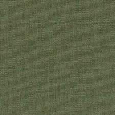 Sunbrella Outdoor/Indoor Upholstery Fabric 54" Canvas Fern 5487-0000
