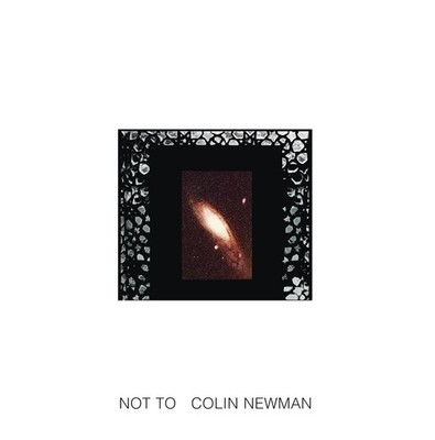 Colin Newman Not To Records & LPs New