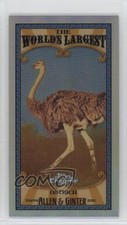 2021 Topps Allen & Ginter Chrome Mini World's Largest Ostrich #MWL-21 og9
