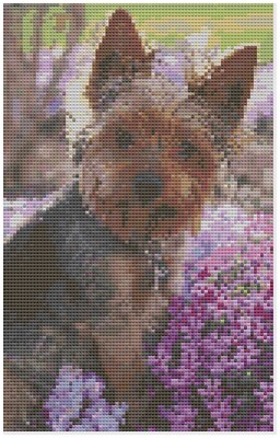 Kreuzstichmuster Von Florashell - Yorkshire Terrier Hund