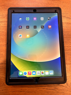 Apple iPad Pro bundle 1st Gen 128 GB, Wi-Fi + Cellular, Space Gray 12.9'' + CASE!