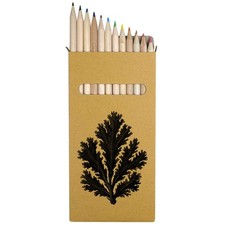 12 x 'Sea Moss' Long 178mm Coloured Pencils / Pencil Set PE00082717