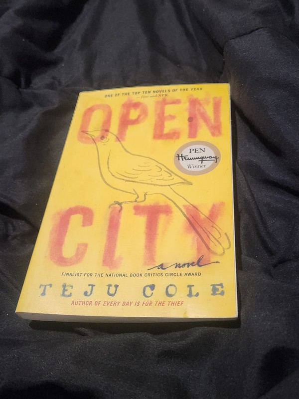 Open City by Teju Cole (2012, Trade Paperback)
