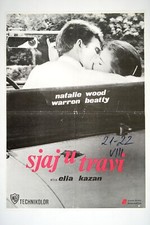 SPLENDOR IN THE GRASS exYU movie poster 1961 NATALIE WOOD WARREN BEATTY E. KAZAN