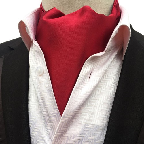 Men Paisley Floral Vines Polka Dots Solid Color Cravat Scarf Ascot Tie Neckwear - Picture 15 of 17