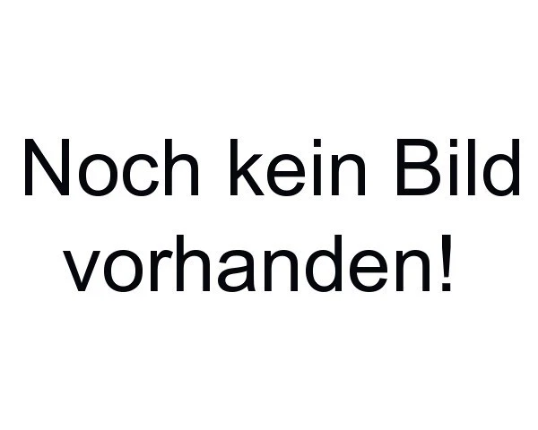 JP Kronenmutter mit Splint Hinterachse Radlager für VW Bus T1 T2 T3 Bj 63-92 - Bild 1 von 1