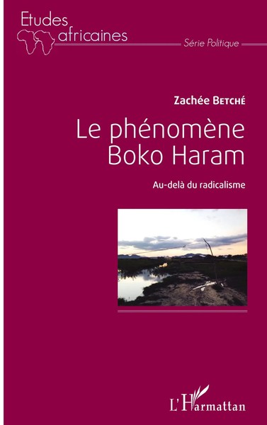 Le PhéNomèNe Boko Haram Au-Delà Du Radicalisme ZachéE Betche Taschenbuch 248 S.-image
