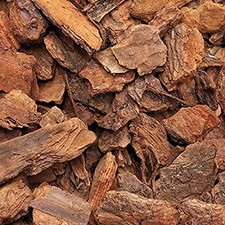 argan Corteccia di Pino per PACCIAMATURA Corteccia di Pino Marittimo con