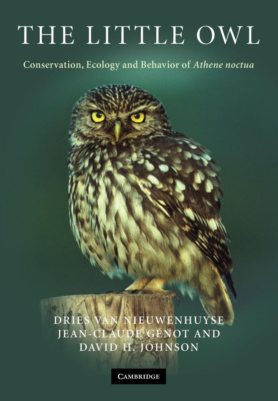 Thumbnail - The Little Owl Conservation, Ecology And Behavior Of Athene Noctua