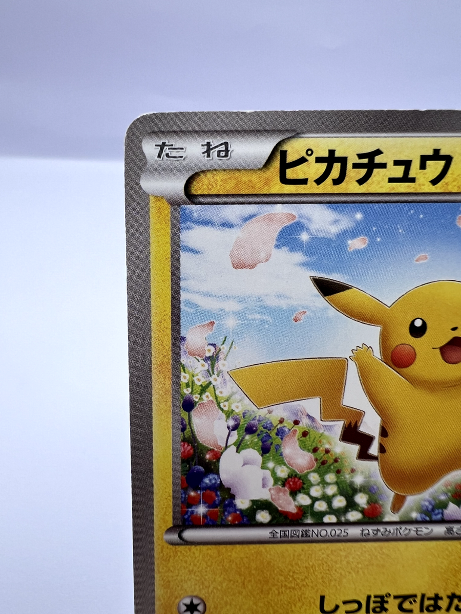 ピカチュウ PROMO BW-Pプロモカード 151/BW-P Pokemon Card Pikachu 151/BW-P Classroom Promo Japanese | eBay
