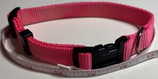 coastal pink dog collar