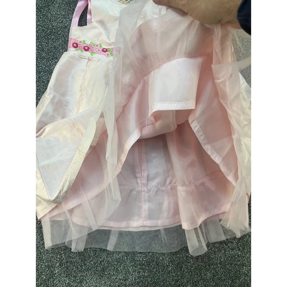 Vestido Gymboree Rosa Seda Rosa Bordado Ocasión Especial Niñas Talla 4 Foto 4 de 4