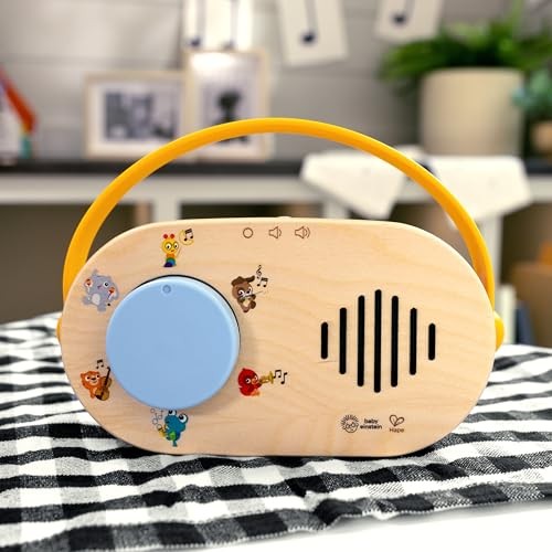 Baby Einstein Hape Discovery Radio Toy Montessori Musical Lights Sounds 6 Mon...