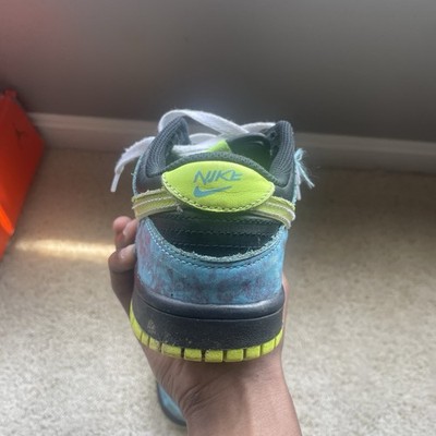 Nike SB Dunk Low Pro Skate Shoes