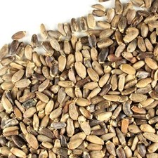 WholeSALE  ORGANIC Milk Thistle Seed PREMIUM Dried Whole-4 oz, 1 lb.