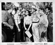 WILD HARVEST original lobby photo ALAN LADD/DOROTHY LAMOUR/ROBERT PRESTON