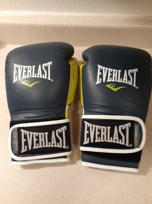 everlast powerlock leather