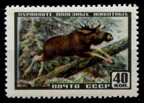 Moose. 1W. 1957 USSR - Picture 1 of 1