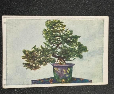 1927-32  JOSSETTI BILDER   The World In Pictures  ALBUM  4-SERIE 147- BILD 3