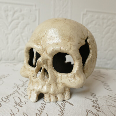 Geflügelter Schwerter Schädel Gothic Totenschädel Halloween Deko Totenkopf Geflügelter Schwerter Schädel Gothic Totenschädel Halloween Deko Totenkopf