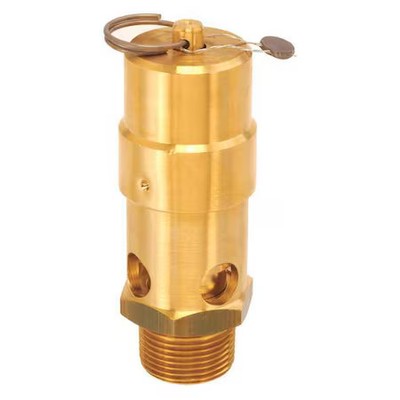 Control Devices Sw10-0A200 Air Safety Valve, 1 In Inlet,  200 Psi