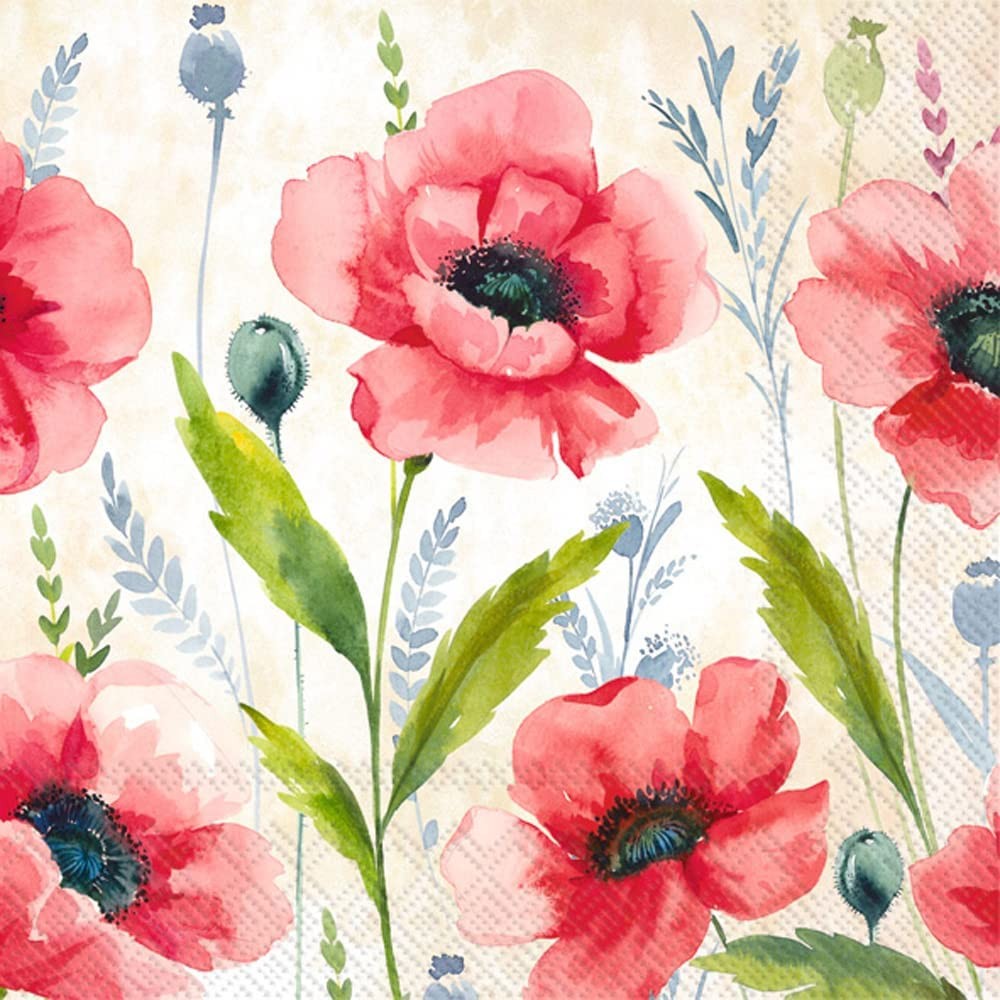 Бостонский международный 5 х 5 дюймов Бумажные салфетки для коктейлей Mohana Cream 20 штук 2190₽