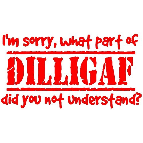 What Part of DILLIGAF VINYL DECAL Mental Health Funny Humor Laugh Sayings - Picture 9 of 12