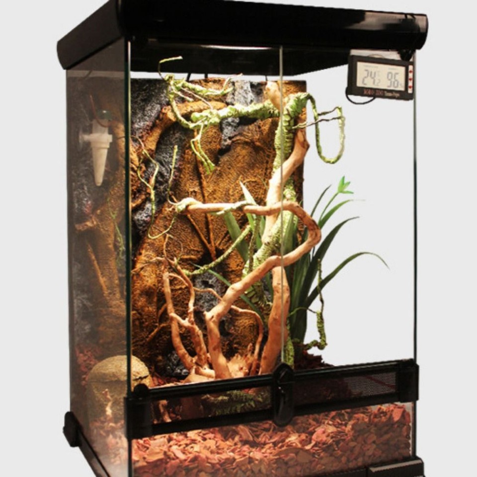 Green Reptile Vine Flexible Fake Plant Rattan Rainforest Landscaping eBay