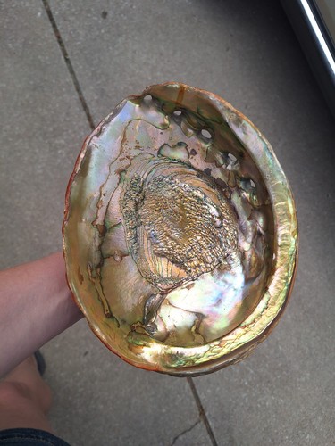Large Irridecent And Red Abilone Shell 9"×7"