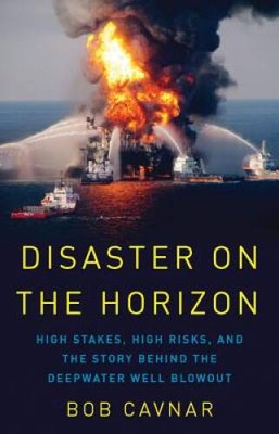 Disaster on the Horizon: High Stakes, High Risks, and the Story Behind th - GOOD