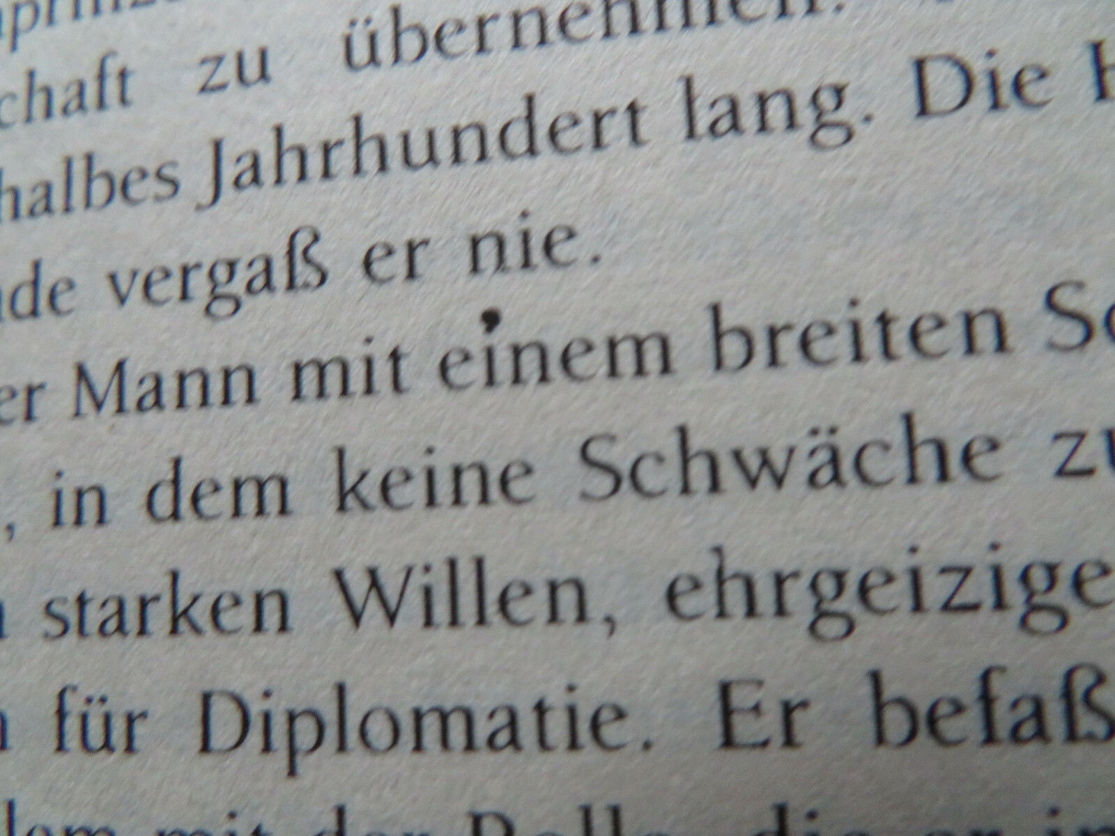 Bild 7 von 8