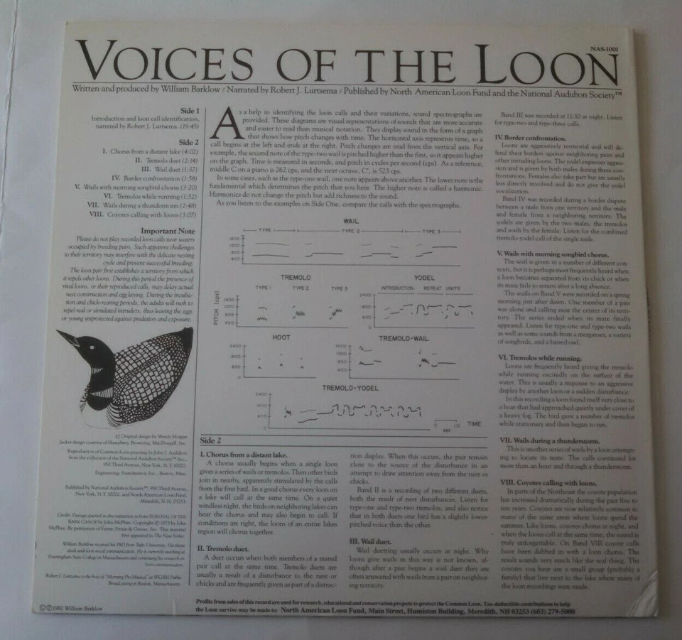 Voices of the Loon NAS-1001 1980 The National Audubon Society LP - Image 2 of 4