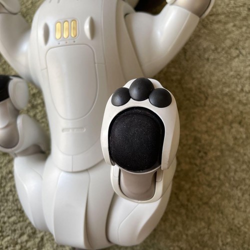 Aibo Haupteinheit ERS1000 mit Product Key SONY Spielzeug Hobbys Ware Hund Haustier - Bild 5 von 10