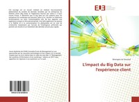 BéRengèRe De Groulard | L'impact Du Big Data Sur L'expéRience Client | Buch