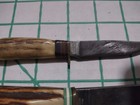 Vintage Solingen Germany Eagle Head Stag Handle Fixed Blade German Knife — photo 5