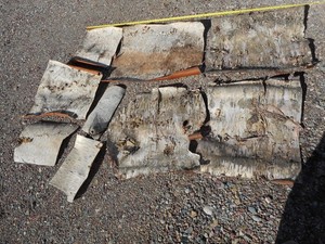 Real Montana Birch Bark sheets.  35 +/-  sq. ft.  Great for arts and crafts.