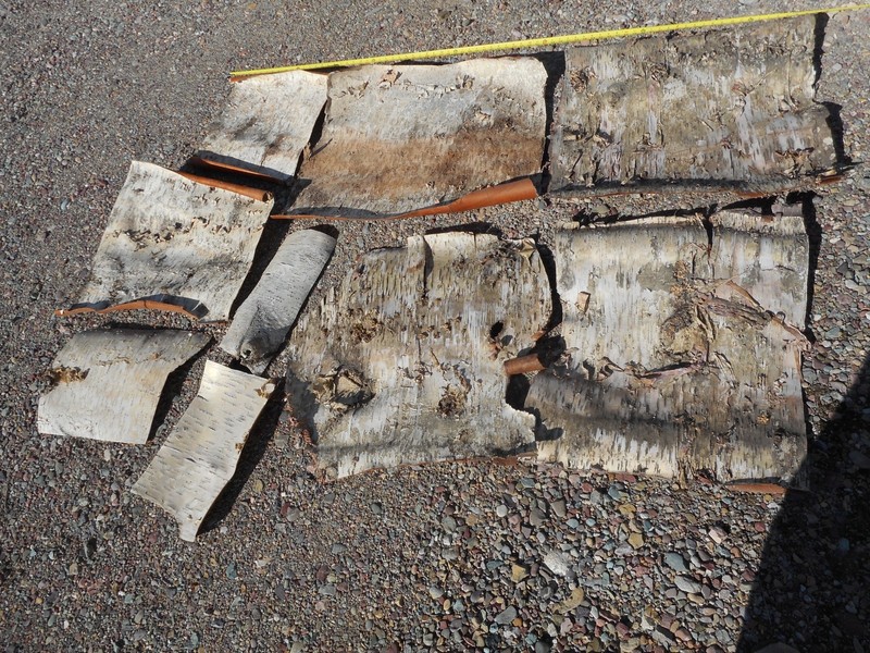 Real Montana Birch Bark sheets.  35 +/-  sq. ft.  Great for arts and crafts.