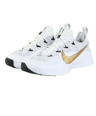 BRAND NEW Nike Men's LeBron TR Training Shoe FJ6151-006 FREE SHIPPING