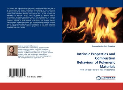 Andrea Castrovinci Cercatore | Intrinsic Properties and Combustion Behaviour...
