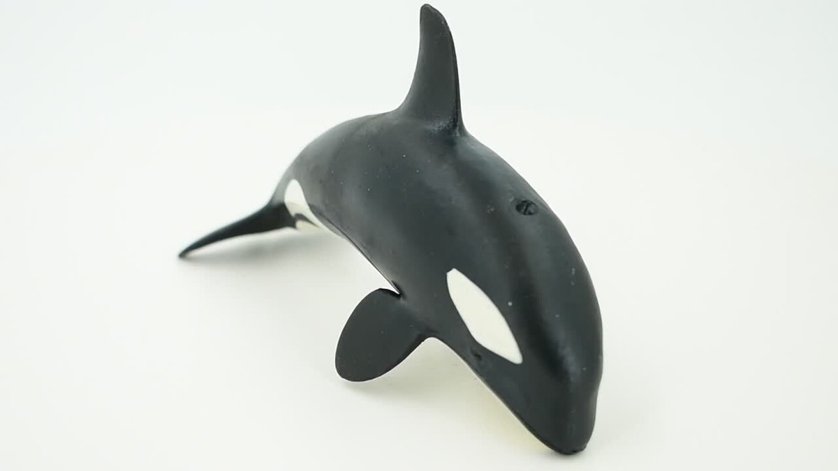 Orca, Killer Whale, Realistic Toy Figure, Model, Replica, Kids, 5