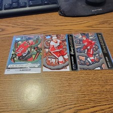 2024-25 Upper Deck Young Guns Renewed  red wings {3}