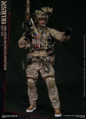 1/6 Scale DAMToys: Navy Seal/ Naval Special Warfare Group AOR1 VER