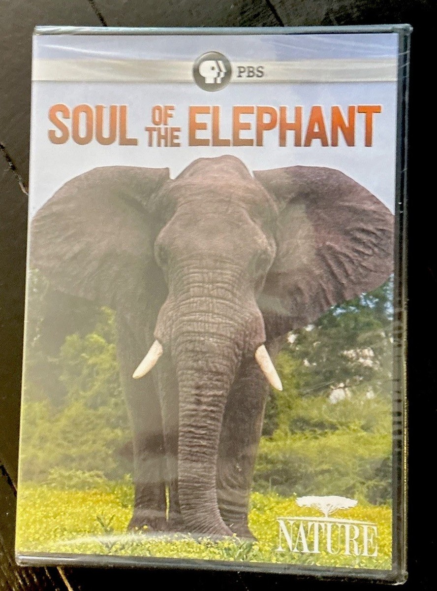PBS Nature: Soul of the Elephant (DVD) NEW Sealed 841887026260| eBay