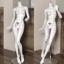 1/4 BJD Doll Handmade resin DIY Female Body-Only Body No head