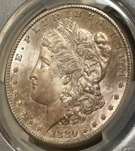 1880 S Morgan Silver Dollar PCGS MS65 -Bellissimo tono e bella lucentezza - scudo oro - Foto 6 di 9