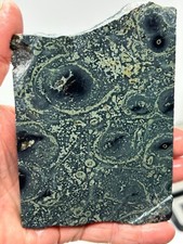 Kambaba Jasper Stromatolite Slab Lapidary Cabbing Combo Ship Avail